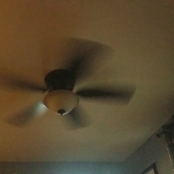 Meet your Posher, Tabitha - Picture 1 of 1